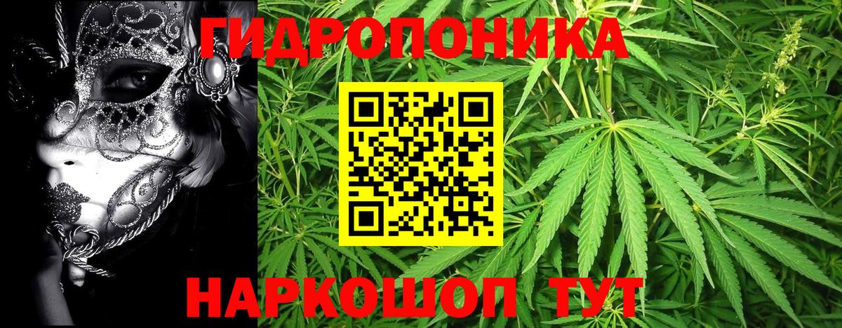 Бошки марихуана Bruce Banner  МАРИХУАНА VHQ  Вход с VPN  Лянтор  Канабис THC 21% 